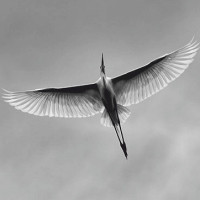 ᵈᵉᶻᶻᶤᶰᵍᵃʳᵗ